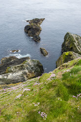 Vereinigtes Königreich, Schottland, Shetlandinseln, steile Klippen von Sumburgh Head - RUNF00967