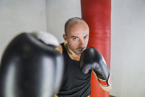 Porträt eines Boxers beim Boxen im Fitnessstudio - FBAF00246