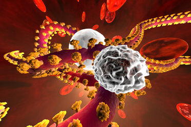 3D gerenderte Illustration eines Ebola-Virus im Kampf mit Leukozyten-Abwehrzellen im Blutstrom, umgeben von Erythrozyten-Zellen - SPCF00320