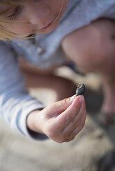 Little girl examining a seashell on the beach - PSIF00220