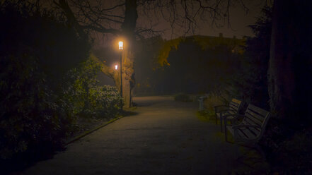 Deutschland, Baden Württemberg, Freiburg, Park bei Nacht - MHF00494