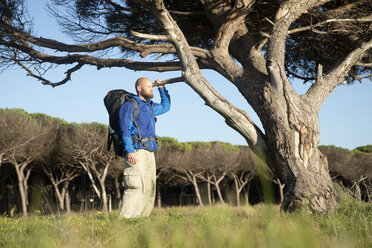 Hiker with backpack, standing at a tree - KBF00397