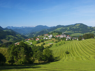 Österreich,Traunviertel, Maria Neustift - WWF04836