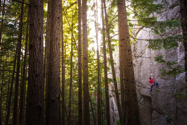 Kletterer erklimmt Felswand in der Nähe von Bäumen, Squamish, Kanada - CUF46924