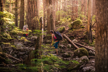 Rock climbers walking through forest, Squamish, Canada - CUF46931