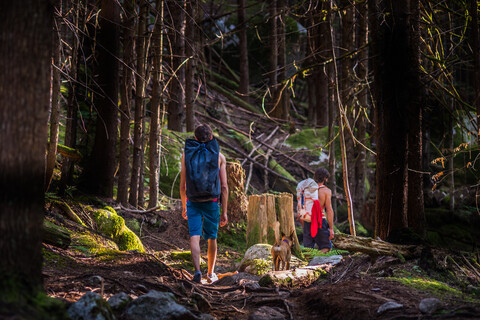 Kletterer und Hund beim Spaziergang durch den Wald, Squamish, Kanada, lizenzfreies Stockfoto