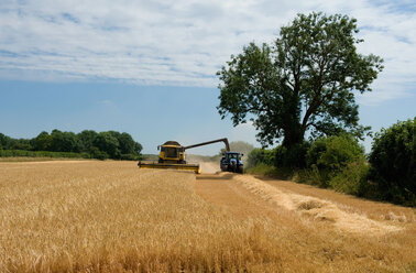 Combine harvester and tractor harvesting crop - CUF46975