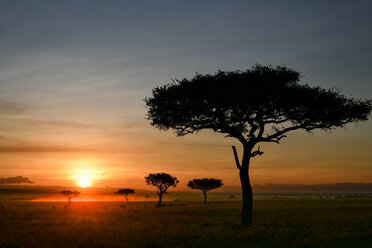 Morgendämmerung in den Ebenen der Masai Mara, Kenia - CUF47093