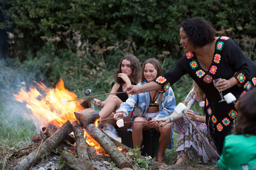 Freunde rösten Marshmallows bei einer Lagerfeuerparty im Park - CUF47160