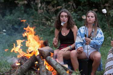 Freunde rösten Marshmallows bei einer Lagerfeuerparty im Park - CUF47162