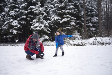 Father and little son having a snowball fight in winter forest - ABIF01144
