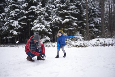 Vater und kleiner Sohn bei einer Schneeballschlacht im Winterwald - ABIF01144