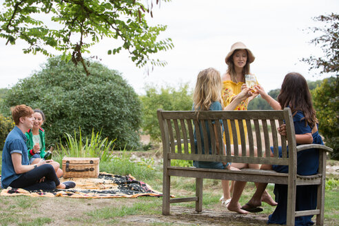 Freunde stoßen bei einem Picknick im Park an - CUF47414