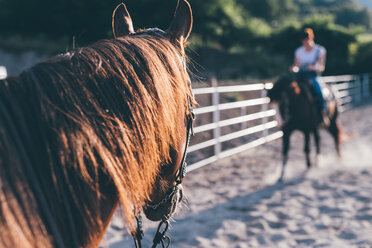 Horse riding in equestrian arena, shallow focus - CUF47501