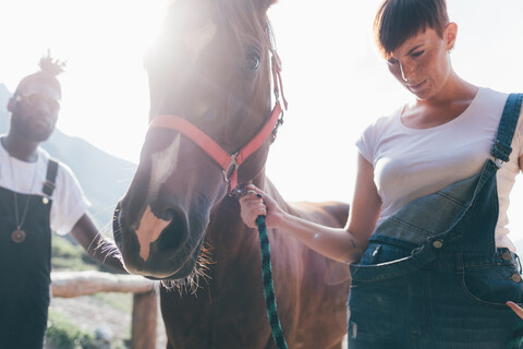 Junge Frau führt Pferd in sonnenbeschienener Reithalle, lizenzfreies Stockfoto
