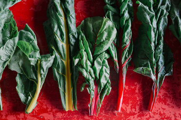 Row of vegetable leaves on red background, overhead view - CUF47572