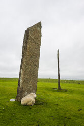 Vereinigtes Königreich, Schottland, Orkney-Inseln, Festland, Standing Stones of Stenness, Unesco-Weltkulturerbe - RUNF00993