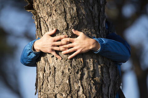 Hände eines Mannes, der einen Baum umarmt, lizenzfreies Stockfoto