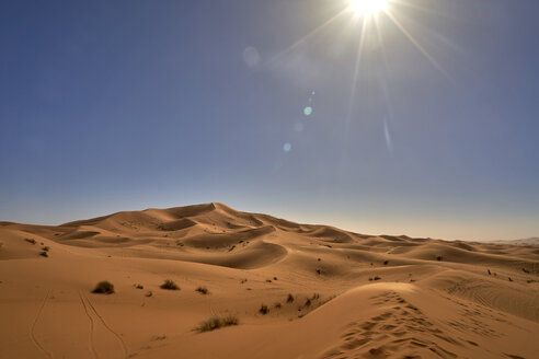 Marokko, Wüste bei Gegenlicht - EPF00547