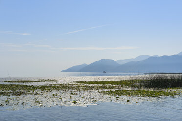 Montenegro, Provinz Bar, Skadar-See - SIEF08323