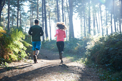 Weibliche und männliche Läufer, die im sonnenbeschienenen Wald laufen, Rückansicht - CUF47988