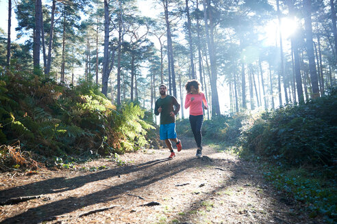Weibliche und männliche Läufer laufen in einem sonnendurchfluteten Wald - CUF47989