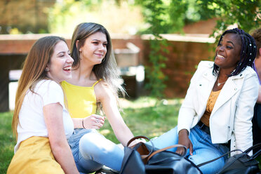 Weibliche Hochschulstudenten unterhalten sich auf dem Rasen eines College-Campus - CUF47996