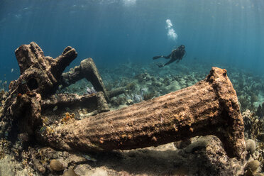 Taucher erkunden Riffleben und alte Wracks, Alacranes, Campeche, Mexiko - CUF48042