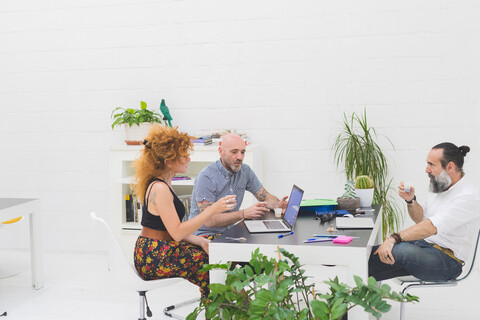 Businessmen and woman having discussion at office meeting stock photo