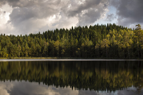 See, in dem sich ein Wald spiegelt, in Harskogen, Schweden, lizenzfreies Stockfoto