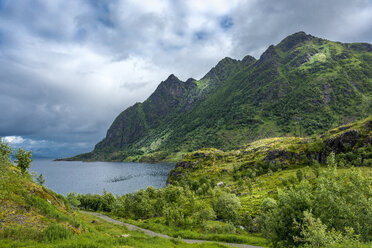 Berge über dem Meer auf der Insel Austvagoya in Norwegen - FOLF10304