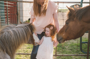 Mutter und Tochter streicheln Pony auf dem Bauernhof - ISF20142