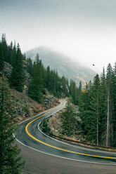 Kurvenreiche Straße durch den Wald, Aspen, Colorado, USA - ISF20160