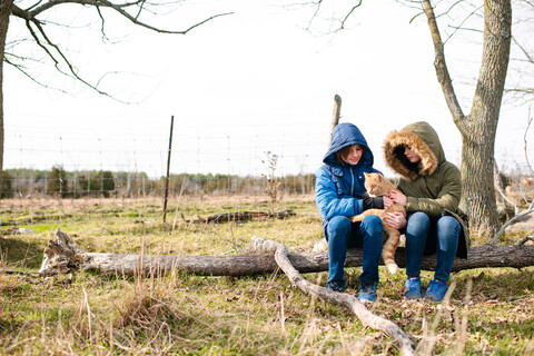 Brother and sister cuddling cat in field stock photo