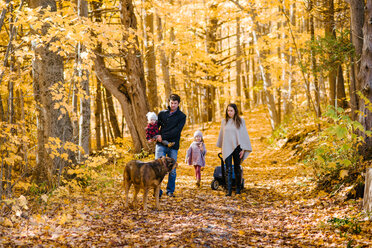 Vierköpfige Familie und Hund im Wald - ISF20395