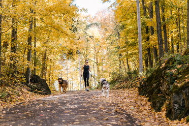 Frau joggt mit angeleinten Hunden im Wald - ISF20408