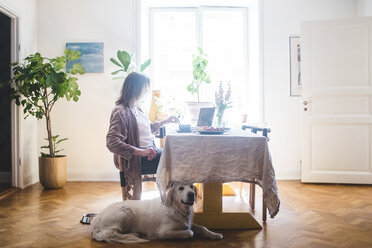 Hund sitzt bei einer Frau, die am Tisch frühstückt, während sie von zu Hause aus arbeitet - MASF10935