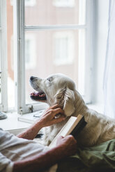 Midsection of senior man stroking dog while holding book on bed at home - MASF10947