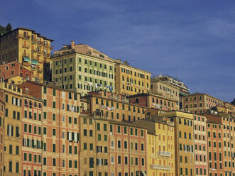 Leuchtende gelbe und orangefarbene Gebäude, Camogli, Ligurien, Italien - FSIF03705