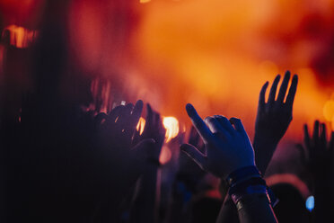 Hands raised, cheering in concert audience - FSIF03761