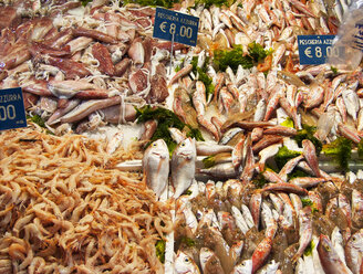 Italy, Naples, fish market - WWF04851