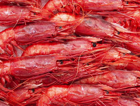 Italien, Neapel, Fischmarkt, lizenzfreies Stockfoto