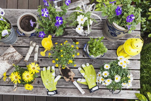 Verschiedene Sommerblumen und Gartengeräte auf dem Gartentisch - GWF05775