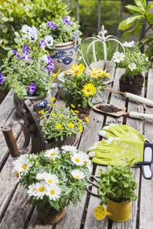 Verschiedene Sommerblumen und Gartengeräte auf dem Gartentisch - GWF05777
