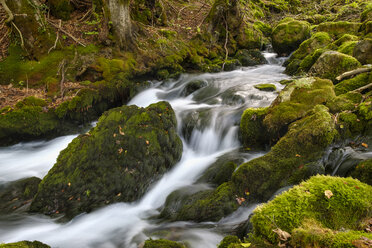 Montenegro, Mojkovac province, mountain stream in Ravnjak - SIEF08329