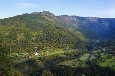 Montenegro, Provinz Mojkovac, Durmitor-Nationalpark, Tara-Schlucht bei Bistrica - SIEF08330