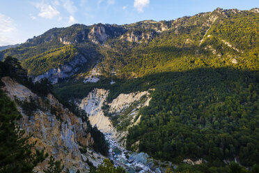 Montenegro, Provinz Mojkovac, Durmitor-Nationalpark, Tara-Schlucht, Tara-Fluss - SIEF08331