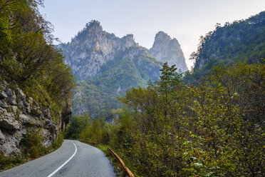 Montenegro, Provinz Pljevlja, Durmitor-Nationalpark, Landstraße durch die Tara-Schlucht - SIEF08332