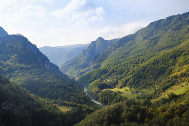 Montenegro, Pljevlja province, Durmitor National Park, Tara Canyon, view from Durdevica Tara Bridge - SIEF08335