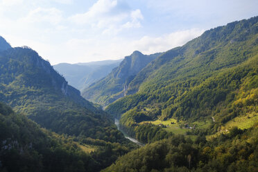 Montenegro, Provinz Pljevlja, Durmitor-Nationalpark, Tara-Schlucht, Blick von der Durdevica-Tara-Brücke - SIEF08335